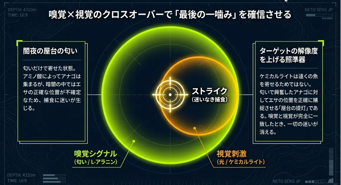 暗黒の海底で位置を特定!ケミカルライトが誘う最後の食い気