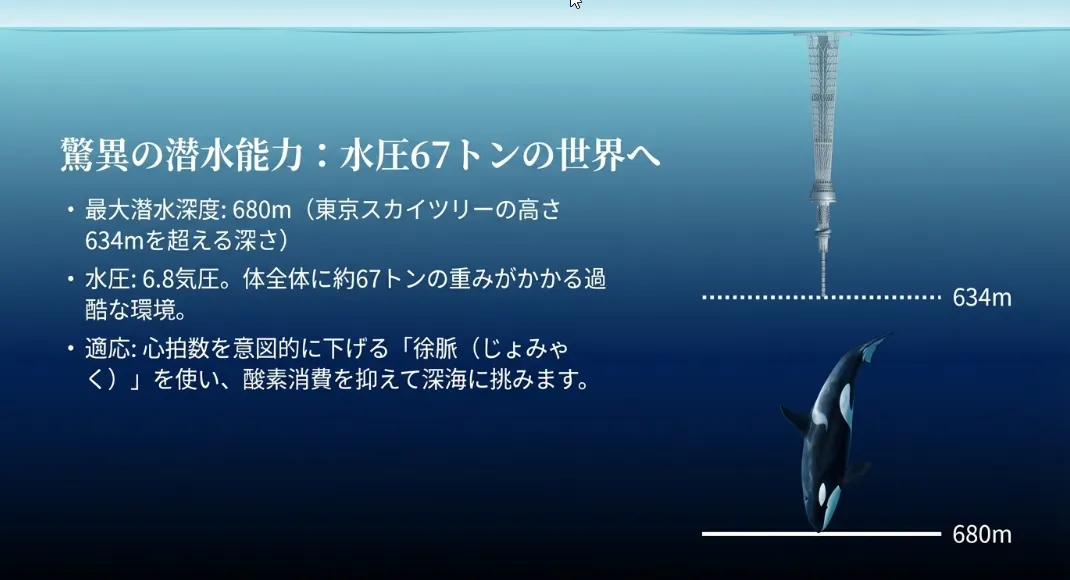 6.8メガパスカルの重圧と肺を畳む「潜水力学」