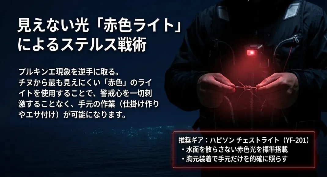 「赤色光」を使い、必ず海に背を向けて照らすようにしてください。