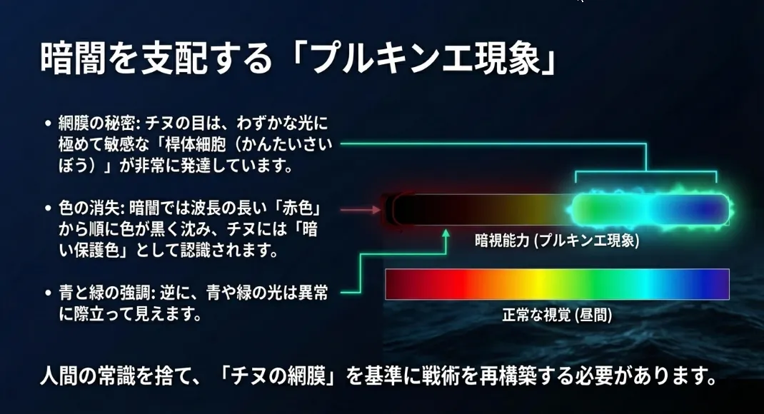 ケイムラの輝きは「自分にだけ見える道しるべ」になる