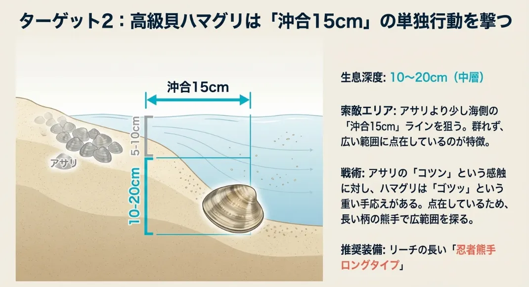 ハマグリ：一発逆転のロマン！高級ブランドを手に入れる