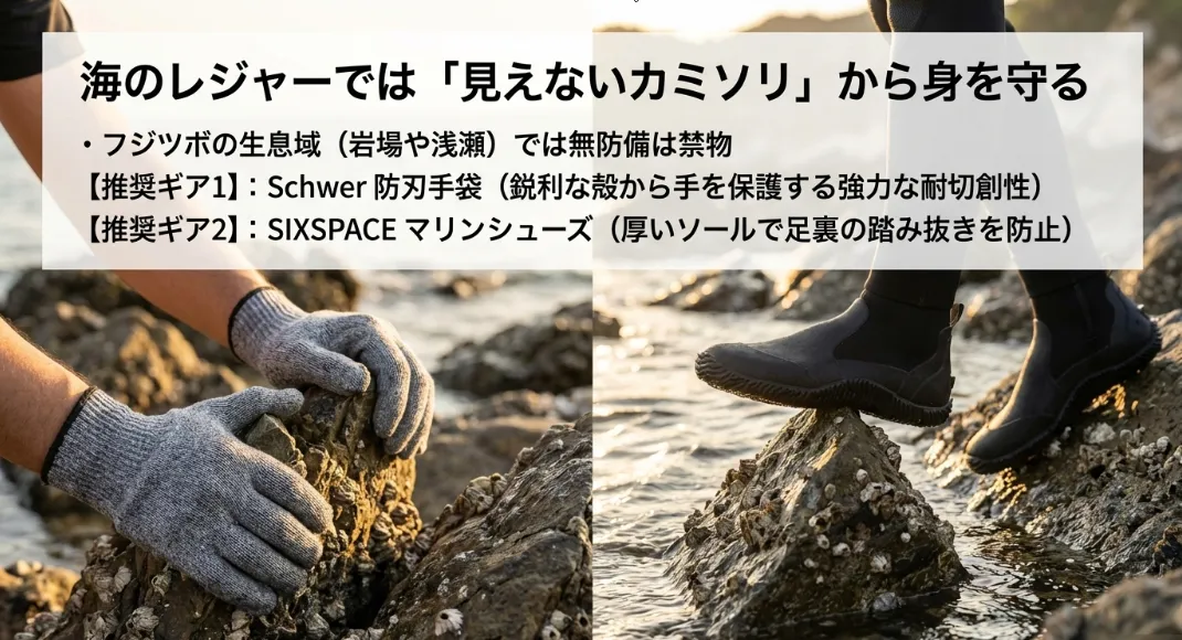 フジツボだらけの磯を安全に歩くための必須装備