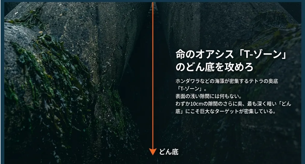 ブラクリで砂を巻き上げて好奇心旺盛なアイナメを誘い出す技術