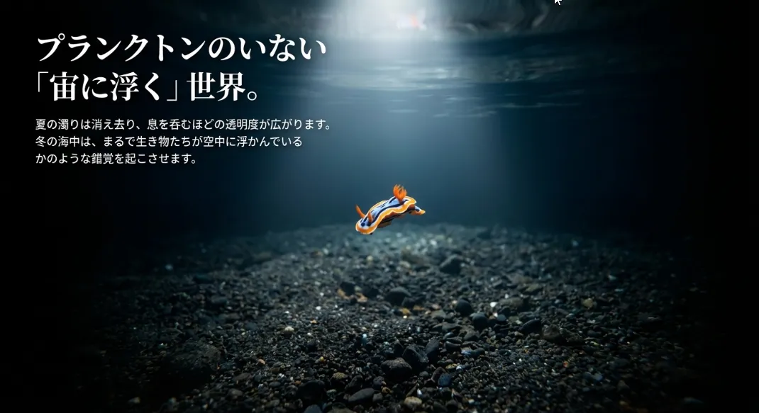 プランクトンがお休みして、深海の澄んだ水