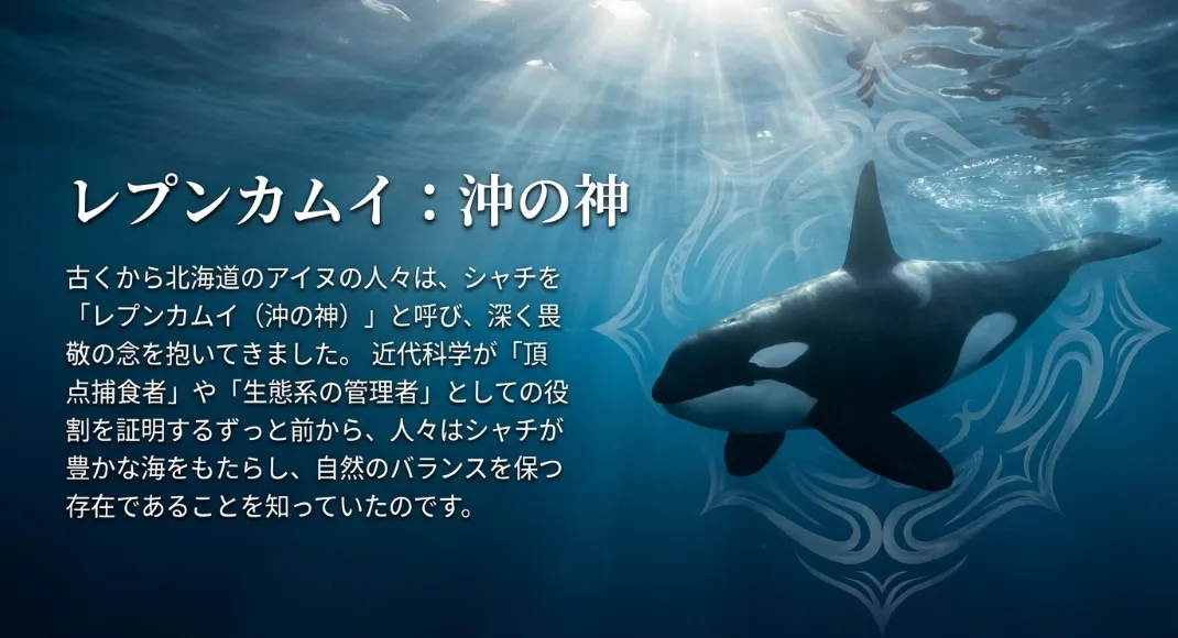 レプンカムイ