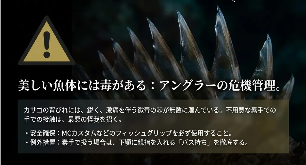 不意の負傷を防ぐ！カサゴを持つ時の「安全な指の形」