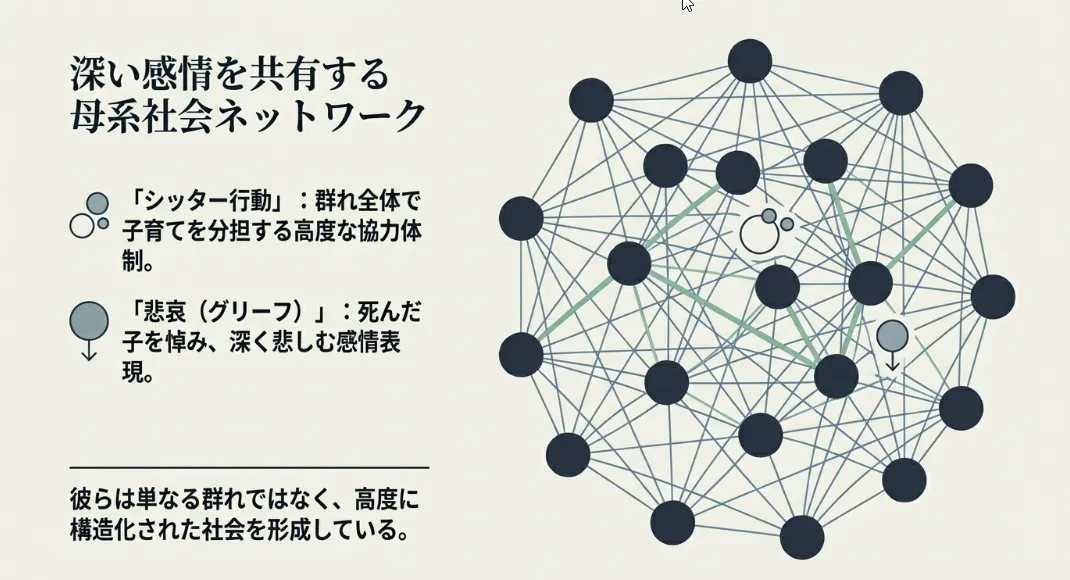 仲間を助ける「利他的行動」は高度な共感力の証