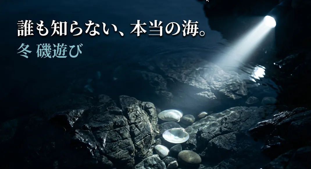 冬の磯遊び完全攻略
