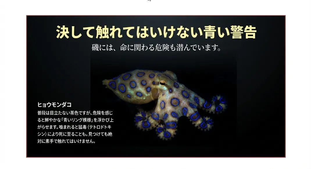 危険生物回避術