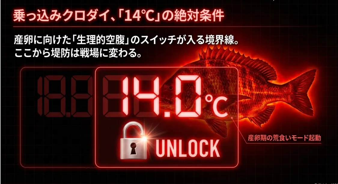 大物狙いの分岐点！「14℃」を越えたら乗っ込みチヌの好機