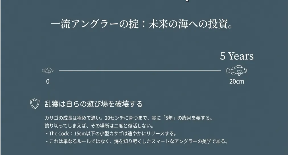 小さな個体は未来への投資！骨まで楽しむためのリリースルール