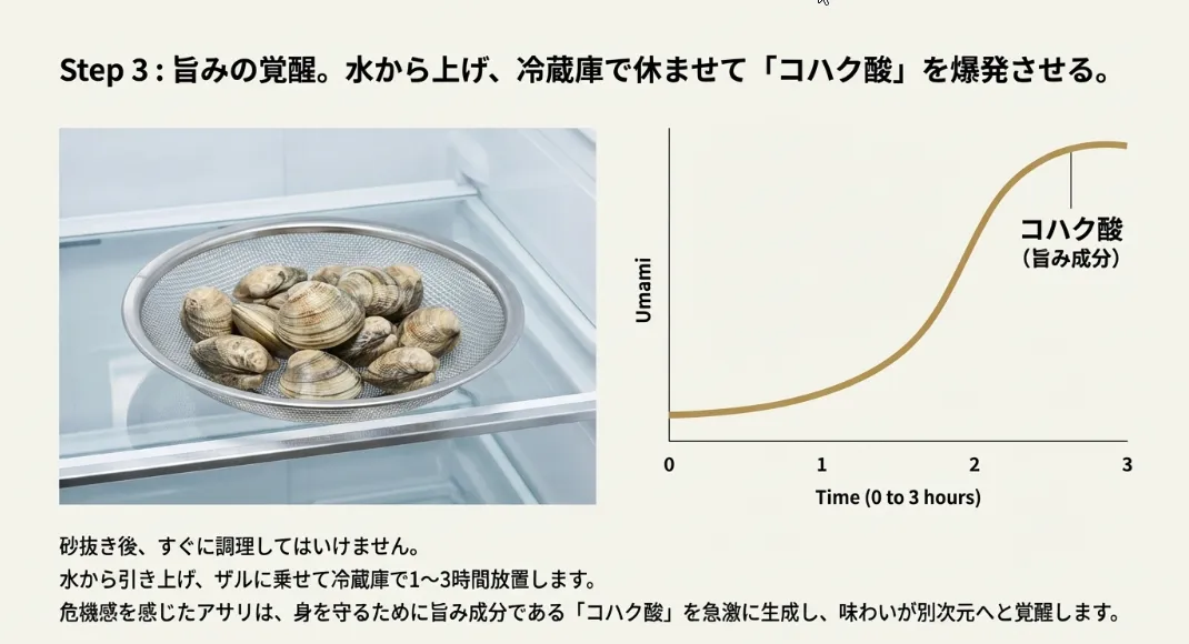 料理が塩辛くなるのを防ぐ！仕上げの「塩抜き」で甘みを引き出す