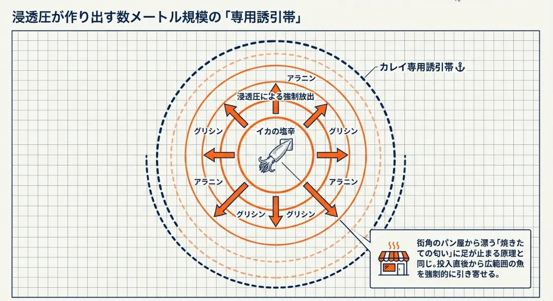 浸透圧の力で周囲数メートルに誘引ゾーンを形成する