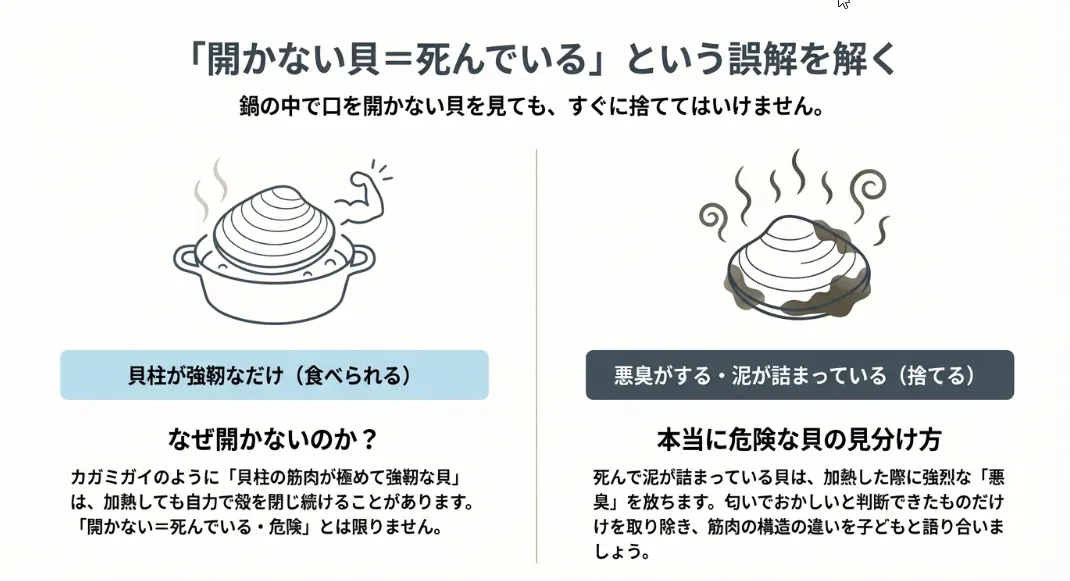 深場のカガミガイは「砂袋」を切れ！濃厚な出汁を楽しむ解剖術