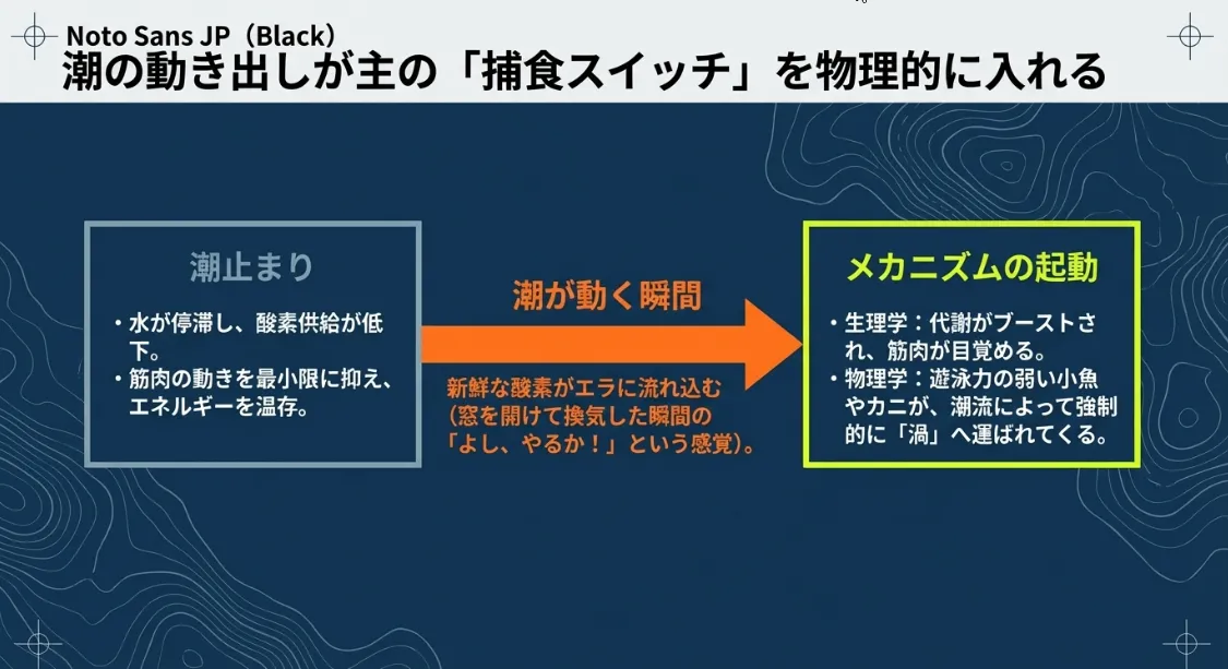 潮の動き出しが大型カサゴの捕食スイッチをオンにする理由