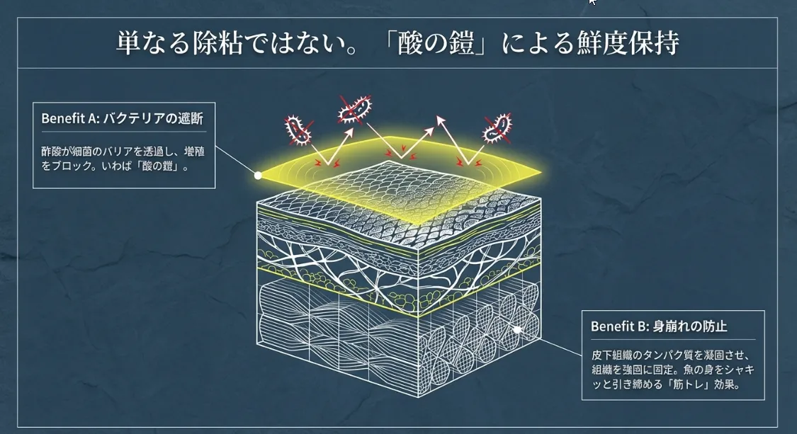酢洗いの真価！殺菌と同時に身を締めて鮮度をロックする