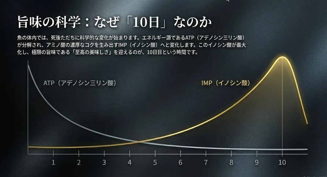魚の10日熟成は「旨味の黄金交差点」！成功の絶対条件